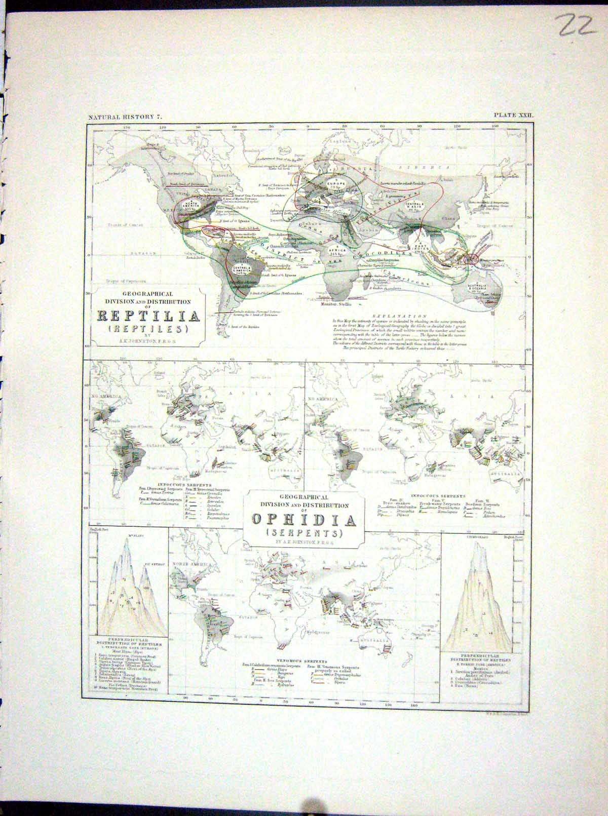 Old Johnston Map 1856 Geographical Distribution Reptiles Serpents Wor Victorian