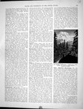 Antique Old Print Mount Rainier Washington Snow-Capped Glaciers Collier 1936