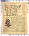 Old Map America United States Mexico Florida Missouri Carolina Canada