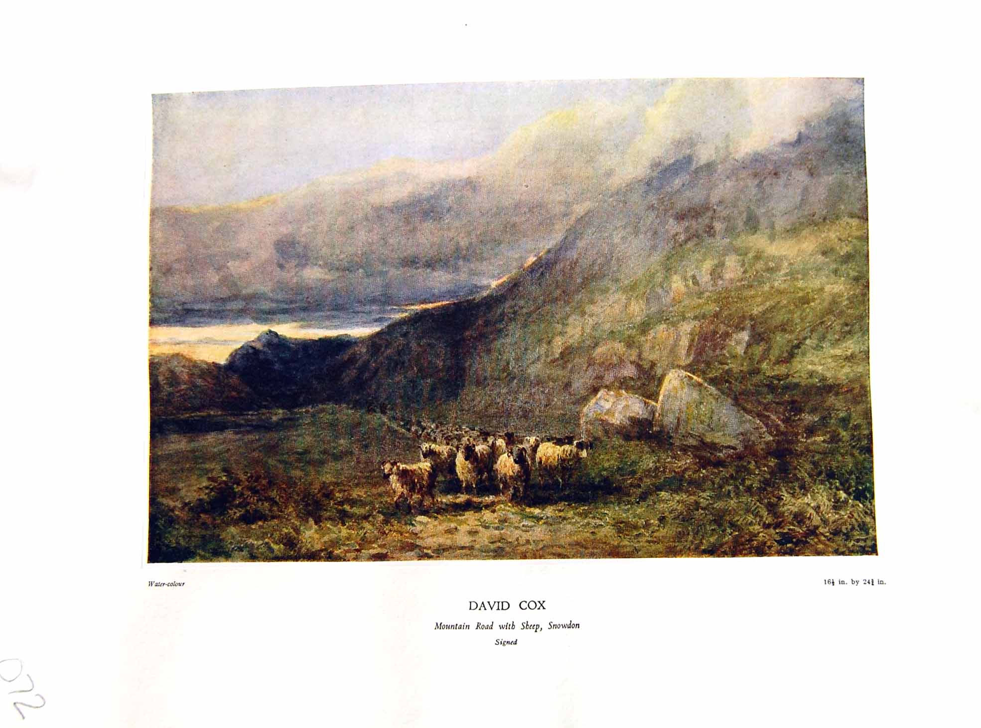 Antique Print NettlefGrundy 1933 Water Mountain Road Sheep Snowden David Co