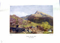 Antique Old Print NettlefGrundy Water 1935 Wales Mountains Cattle Alfred Hunt