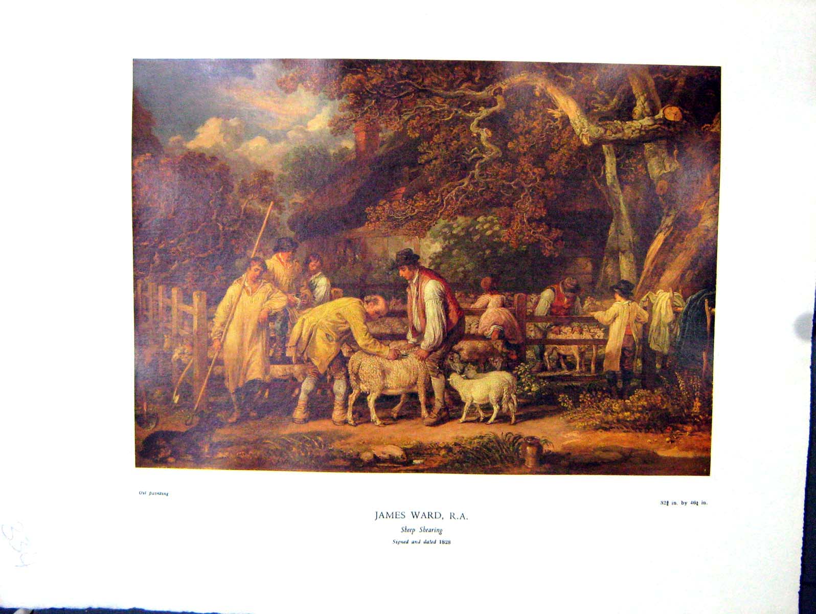 Antique Print 1938 NettlefGrundy Oil Painting Sheep Shearing Shepherds Jame