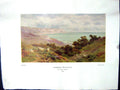 Antique Old Print 1938 NettlefGrundy Water Warren Folkeston Sheep Williamson
