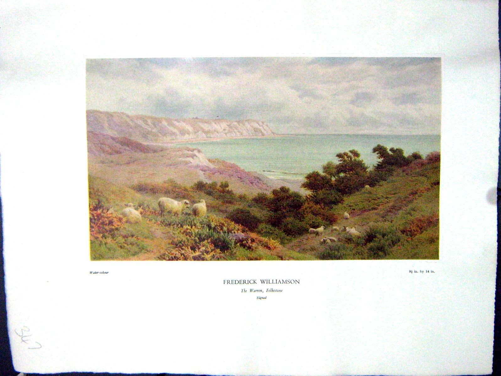 Antique Old Print 1938 NettlefGrundy Water Warren Folkeston Sheep Williamson
