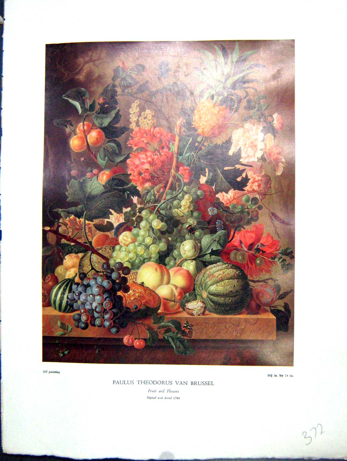 Antique Print 1938 NettlefGrundy Oil Painting Fruit Flowers Paulus Van Brus