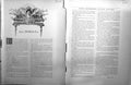 Antique Old Print Galerie Contemporaine C1876 Baschet Alexandre Dumas Fils