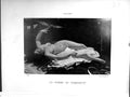 Old Galerie Contemporaine 1880 Baschet Courbet Femme Perroquet Naked Victorian