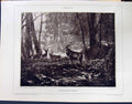 Old Galerie Contemporaine C1874-78 Lacroix Karl Bodmer Preliminaires Victorian