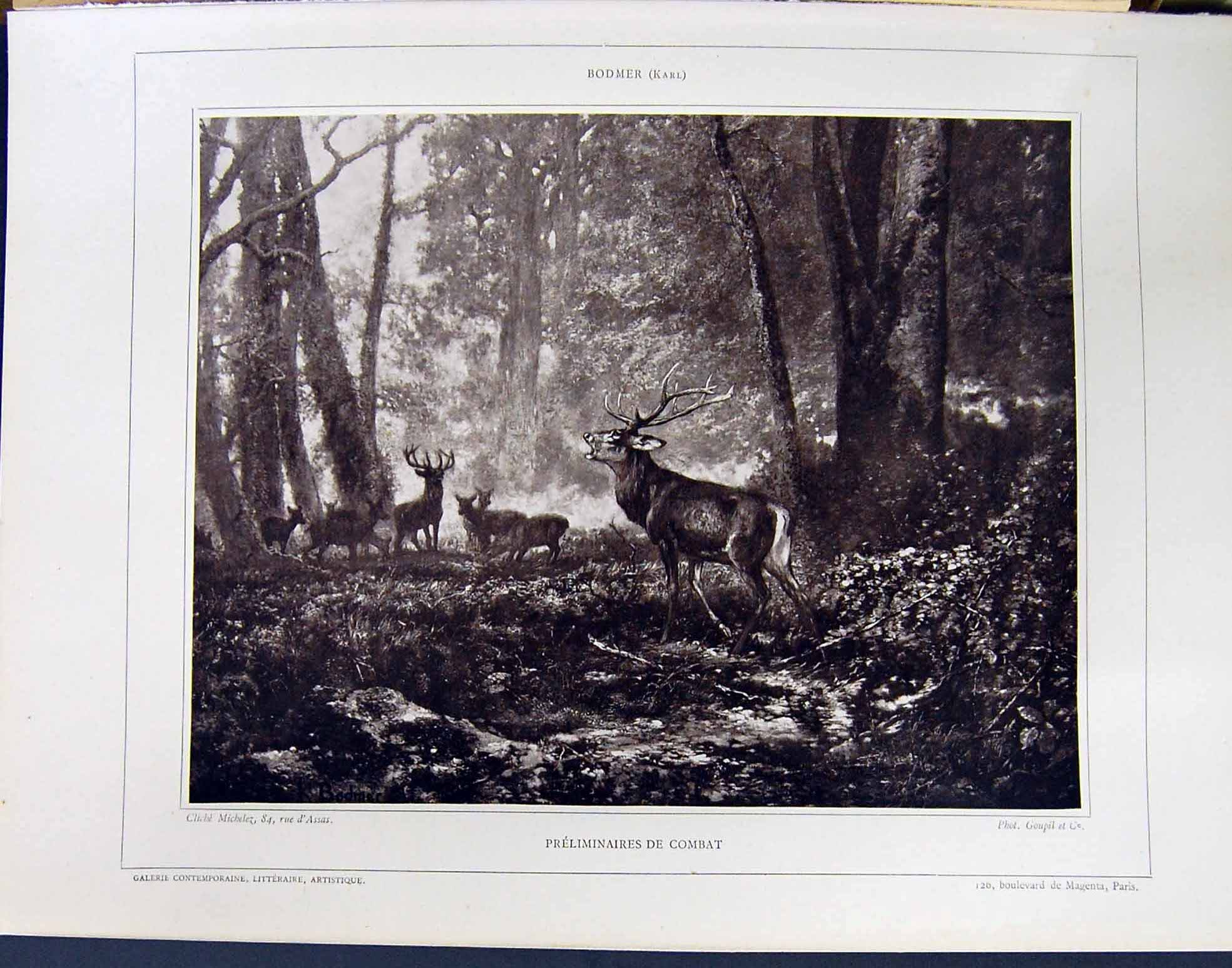 Old Galerie Contemporaine C1874-78 Lacroix Karl Bodmer Preliminaires Victorian