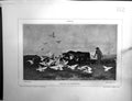 Antique Print Galerie Contemporaine 1875 Lacroix Schenck Pigeons Laboureurs