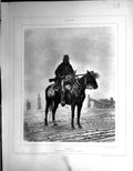 Old Print Galerie Contemporaine 1877 Baschet Detaille Vedette Sier Horse 19th