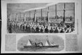 Old 1860 Banquet Crystal Palace Joseph Lady Paxton Steam Ship Giraffe Victorian