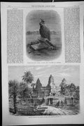 Old Print 1868 FaÔøΩade Temple Ongou Wat Cambodia Griffon Vulture Bird Prey 19th