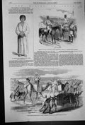Old Print 1857 India Chief Murder Whish Bengal Army Siers Horses Delhi A 19th