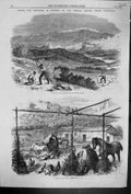 Old 1861 Caprera Garibaldi Digging Roots Garden Farmyard Animals Chic Victorian
