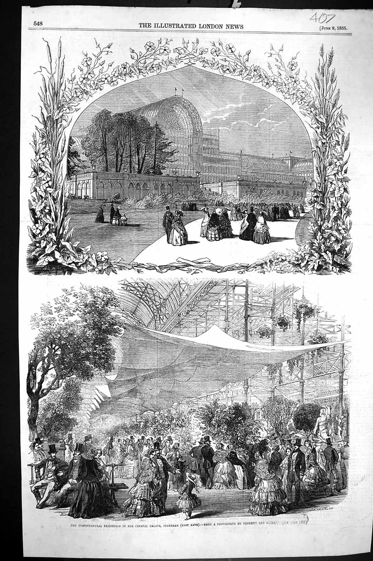 Old Print 1855 Horticultural Exhibition Crystal Palace Sydenham Negretti 19th