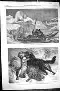 Old 1866 Lapland Lovers Cape North Romance Polar Bear Sheep Wolf Dog Victorian