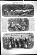 Antique Old Print 1864 Capturing Wild Elephants Ceylon Taming Noosed Animals