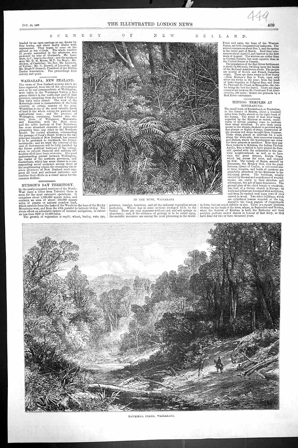 Old Print 1869 New Zealand Bush Wairapapa Kauminga Creek Mountains Trees 19th