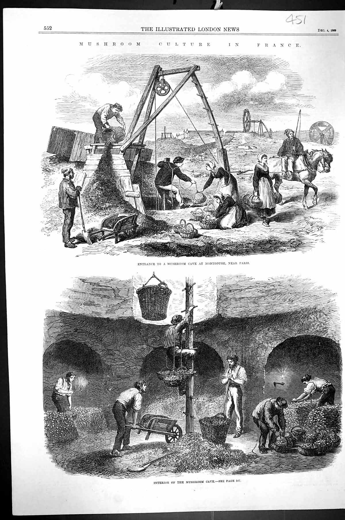 Antique Old Print 1869 Mushroom Culture France Interior Cave Montrouge Paris