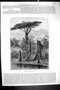 Original Old Antique Print 1873 River Gate Botanic Garden Chelsea England 19th