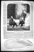 Antique Old Print 1856 Spahi Zouave Fenton Crimea Lattice Plant Madagascar 19th