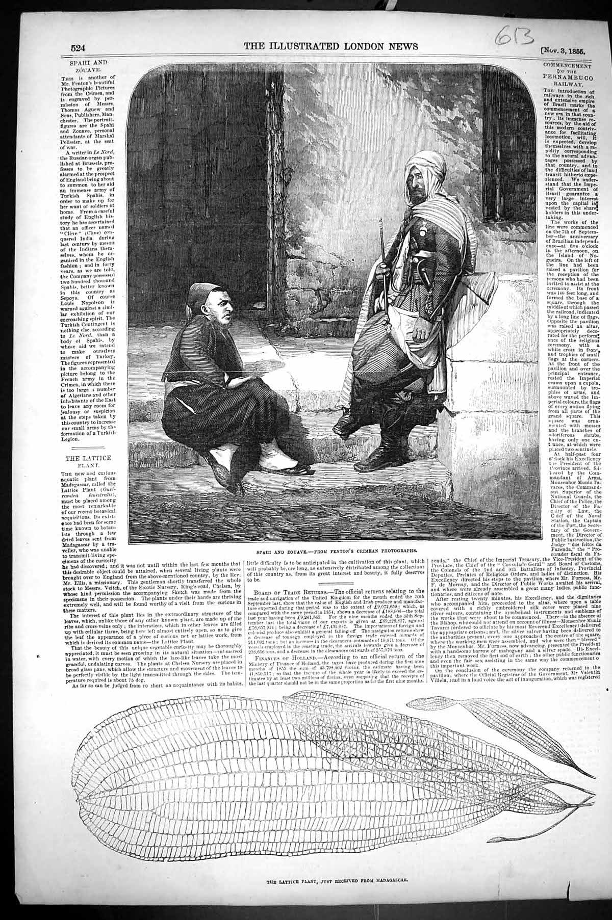 Antique Old Print 1856 Spahi Zouave Fenton Crimea Lattice Plant Madagascar 19th
