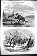 Original Old Antique Print 1858 Moose Hunting Canada Encampment Hunters Sport