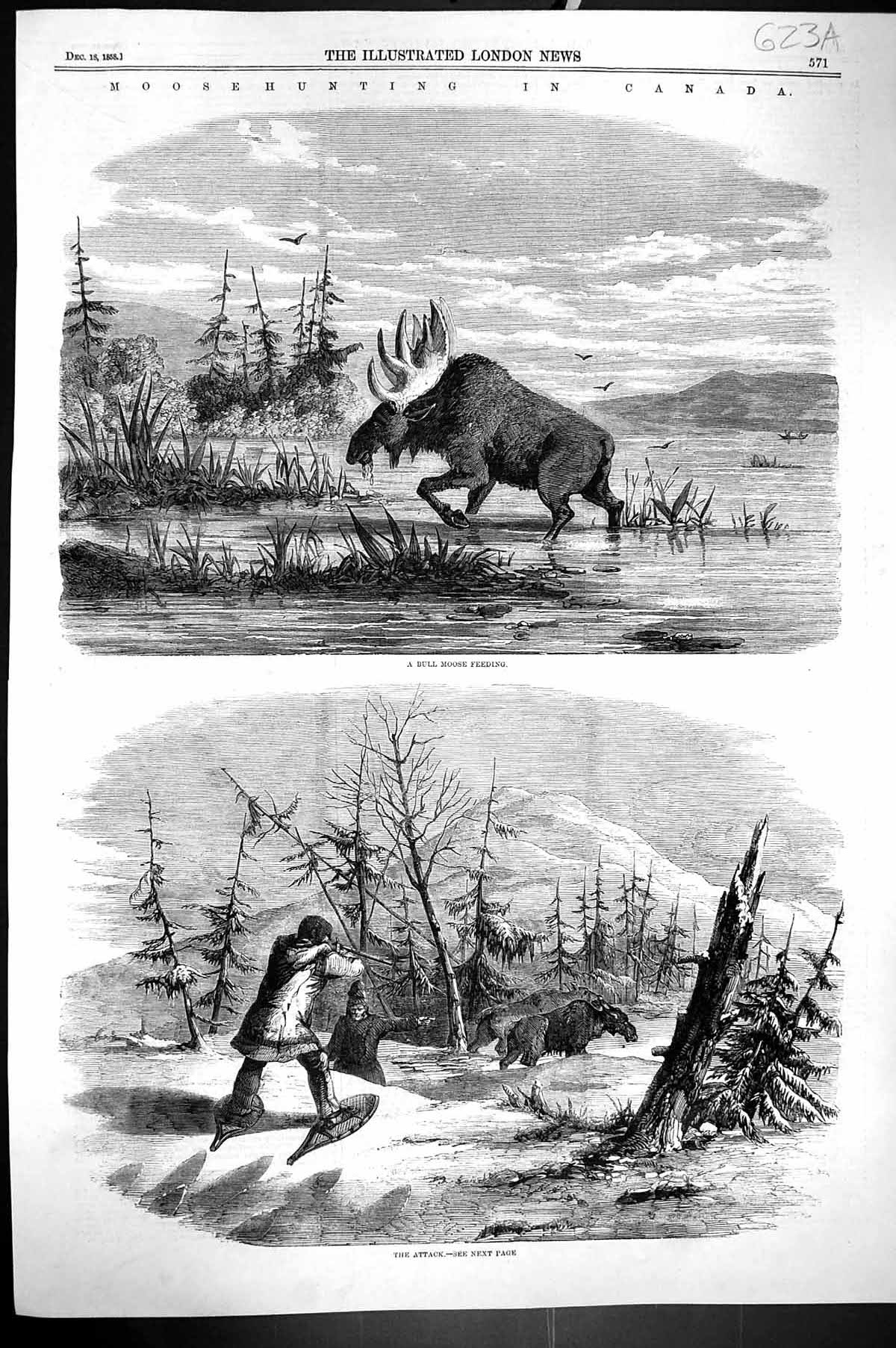 Original Old Antique Print 1858 Moose Hunting Canada Encampment Hunters Sport