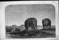 Old Antique Print 1864 Tombs Emperors Ming Dynasty Nankin China Elephants 19th