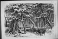 Old 1858 Lumbering New Brunswick Lumbermen Forest Trees Bullock Cart Victorian