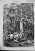 Old 1867 Nicaragua Route Central America Floating Down River Rama Raf Victorian