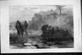 Original Old Antique Print 1877 African Elephant Shooting Hunting Moonlight