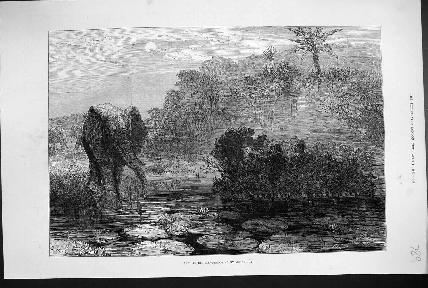 Original Old Antique Print 1877 African Elephant Shooting Hunting Moonlight