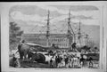 Old 1868 Embarking Elephants Bombay Abyssinian Expedition Ships Trans Victorian
