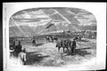 Old 1861 Derby Day Horse Racing View Course Corner Paddock Sport Lint Victorian