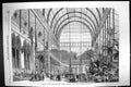 Antique Old Print 1861 Opening Horticultural Society Winter Gardens Plants 19th