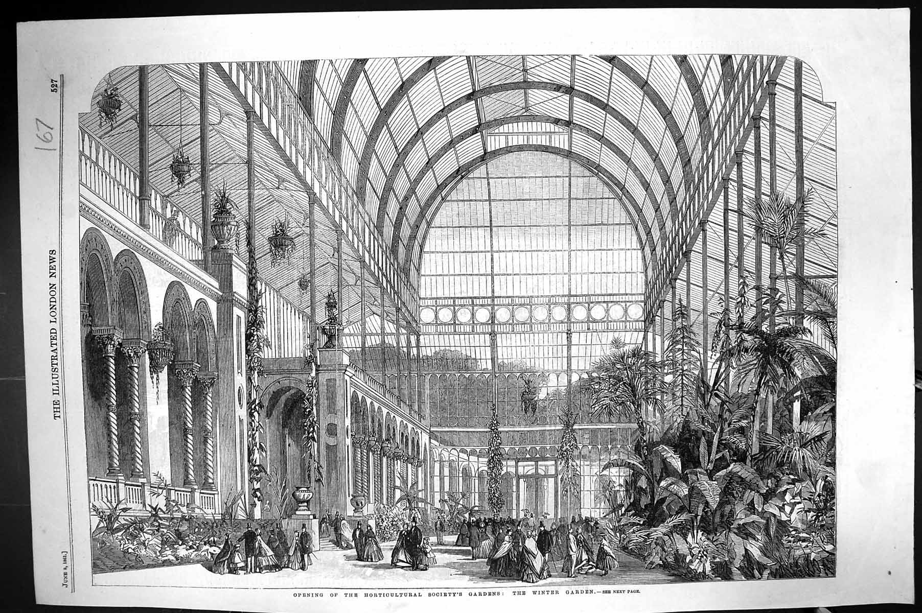 Antique Old Print 1861 Opening Horticultural Society Winter Gardens Plants 19th