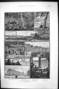 Old 1884 London Western Suburbs Lawn Tennis Club Cricket Kensington W Victorian
