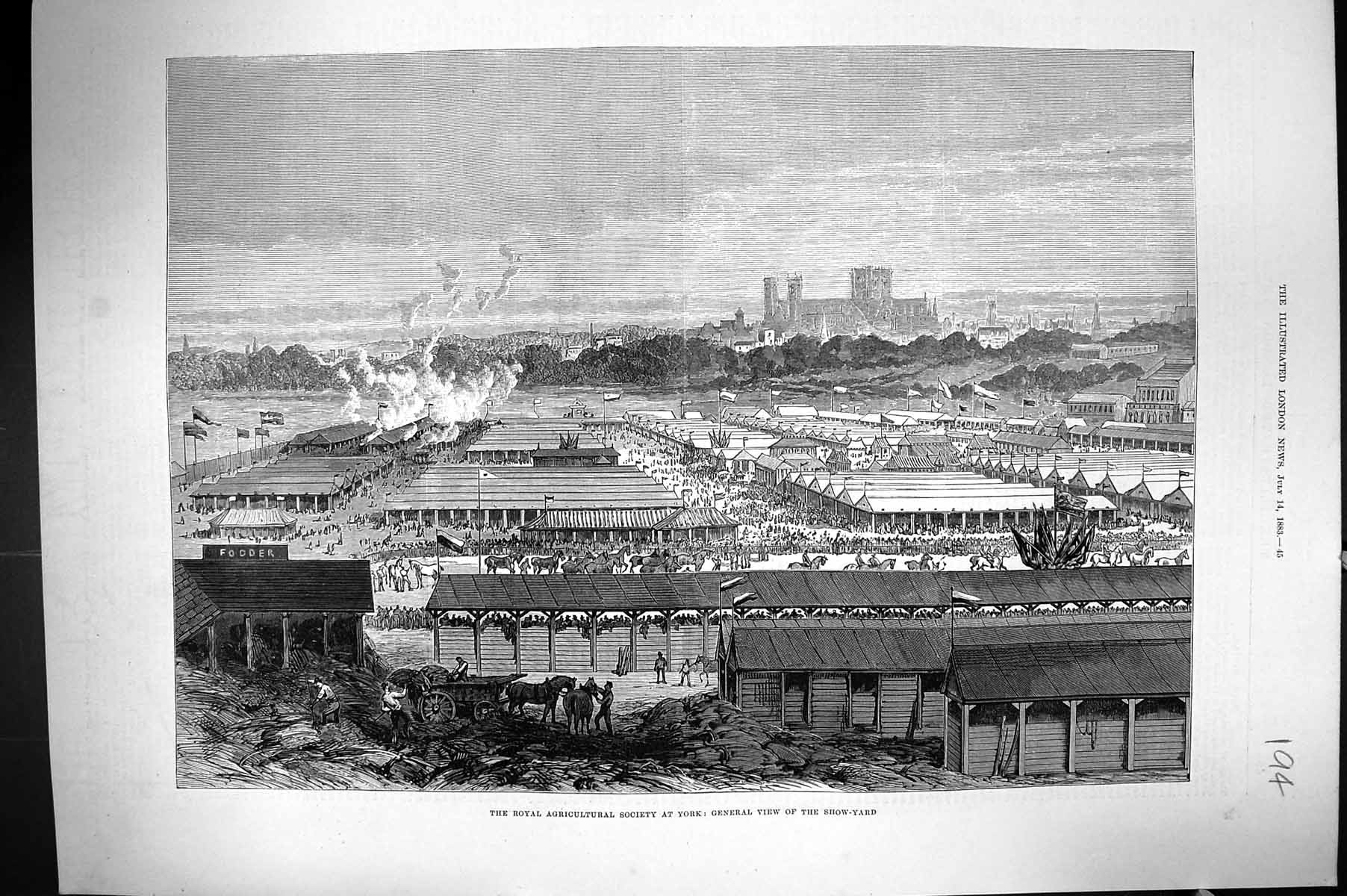 Old Print 1883 Royal Agricultural Society New York View Show Yard America 19th
