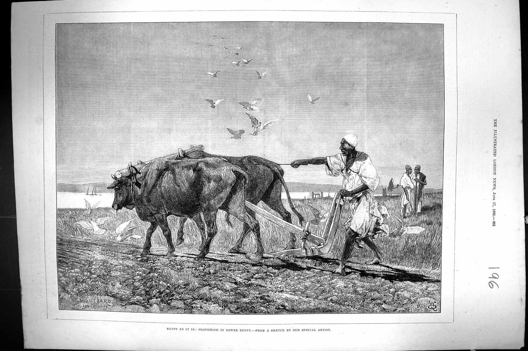 Original Old Antique Print 1882 Egypt Bullocks Ploughing Agriculture Montbard