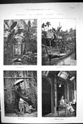 Old 1883 Annam Cochin China Native Lady River Scene Village Pathway F Victorian