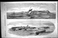 Old Print 1855 Anapa Ships Sea Constructed Ovens Heating Shot War Weapons 19th