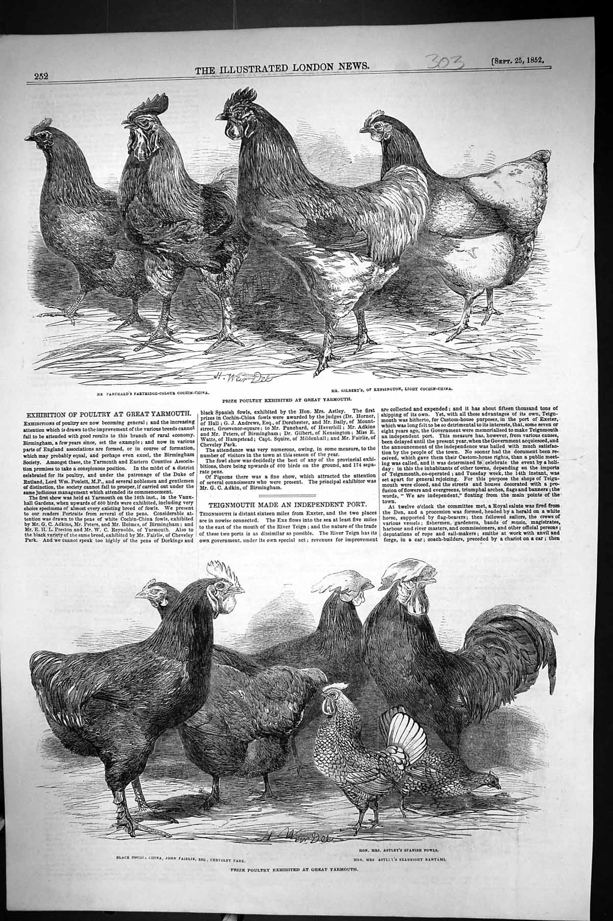 Old 1852 Prize Poultry Great Yarmouth Panchard Gilbert Fairlie Cochin Victorian