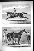 Antique Old Print 1875 Galopin Horse Racing Winner Derby Spinaway Oaks Sport