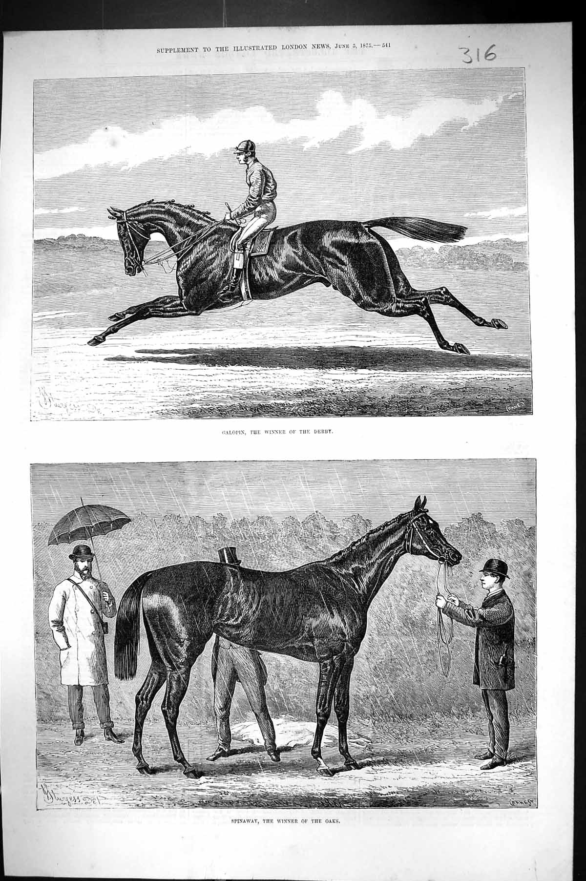 Antique Old Print 1875 Galopin Horse Racing Winner Derby Spinaway Oaks Sport