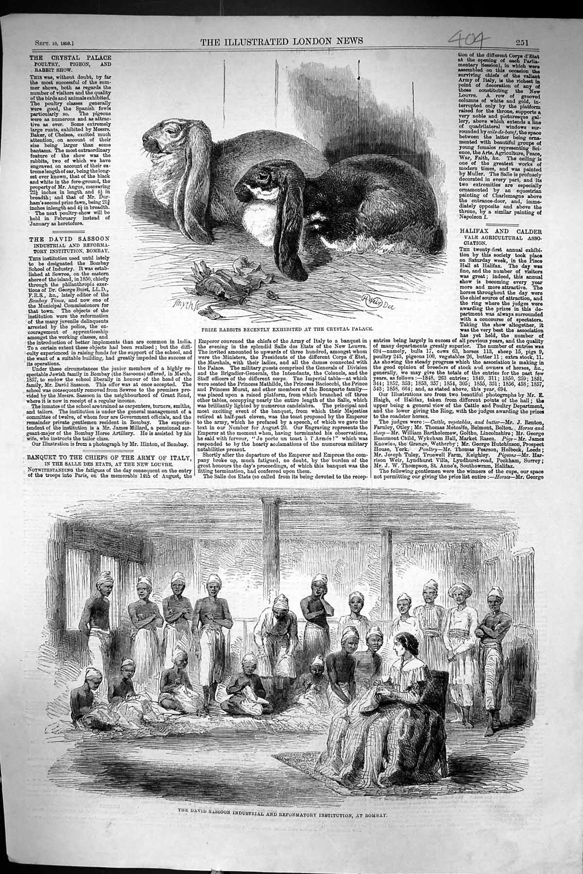 Old 1859 Rabbits Crystal Palace David Sassoon Reformatory Instiution Victorian
