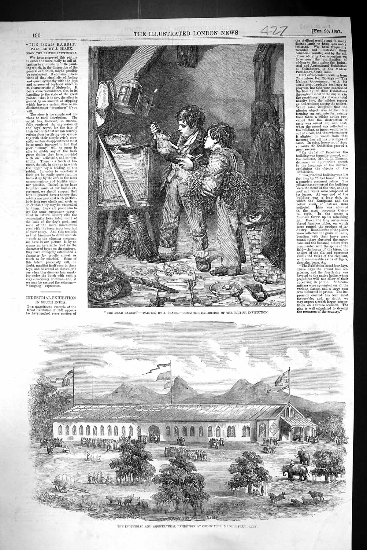 Old 1857 Dead Rabbit Children Agricultural Exhibition Coimbatore Madr Victorian