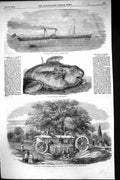 Old 1855 Iona Steamer Ship Sunfish Cork Harbour Tree Barron Machine R Victorian