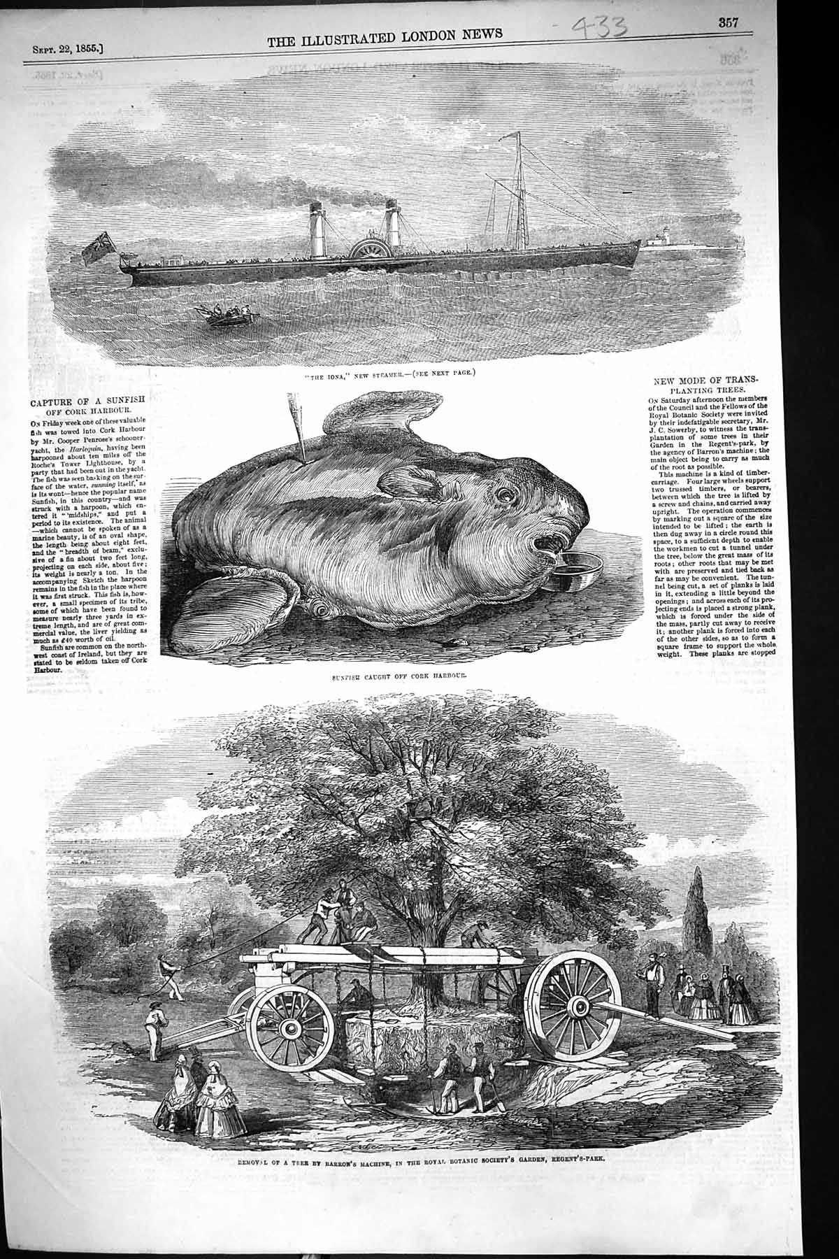 Old 1855 Iona Steamer Ship Sunfish Cork Harbour Tree Barron Machine R Victorian